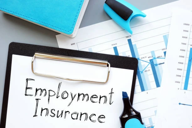 Payroll Management for Small Businesses in Canada: A Complete Guide 3 Employment Insurance