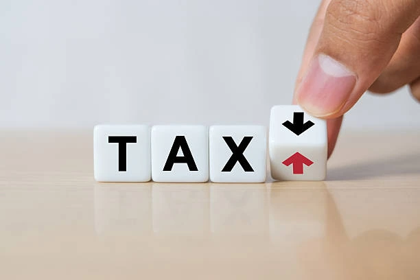 Best Accounting Software for Small Businesses in Canada 2 Tax Filing in Canada